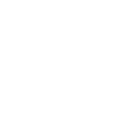 Professional Grade Badge