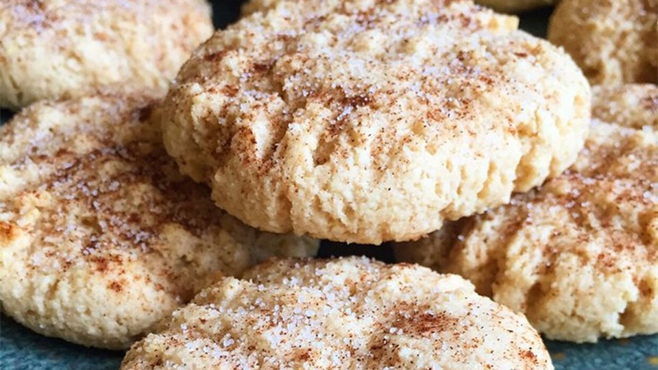 Snickerdoodle Protein Cookies